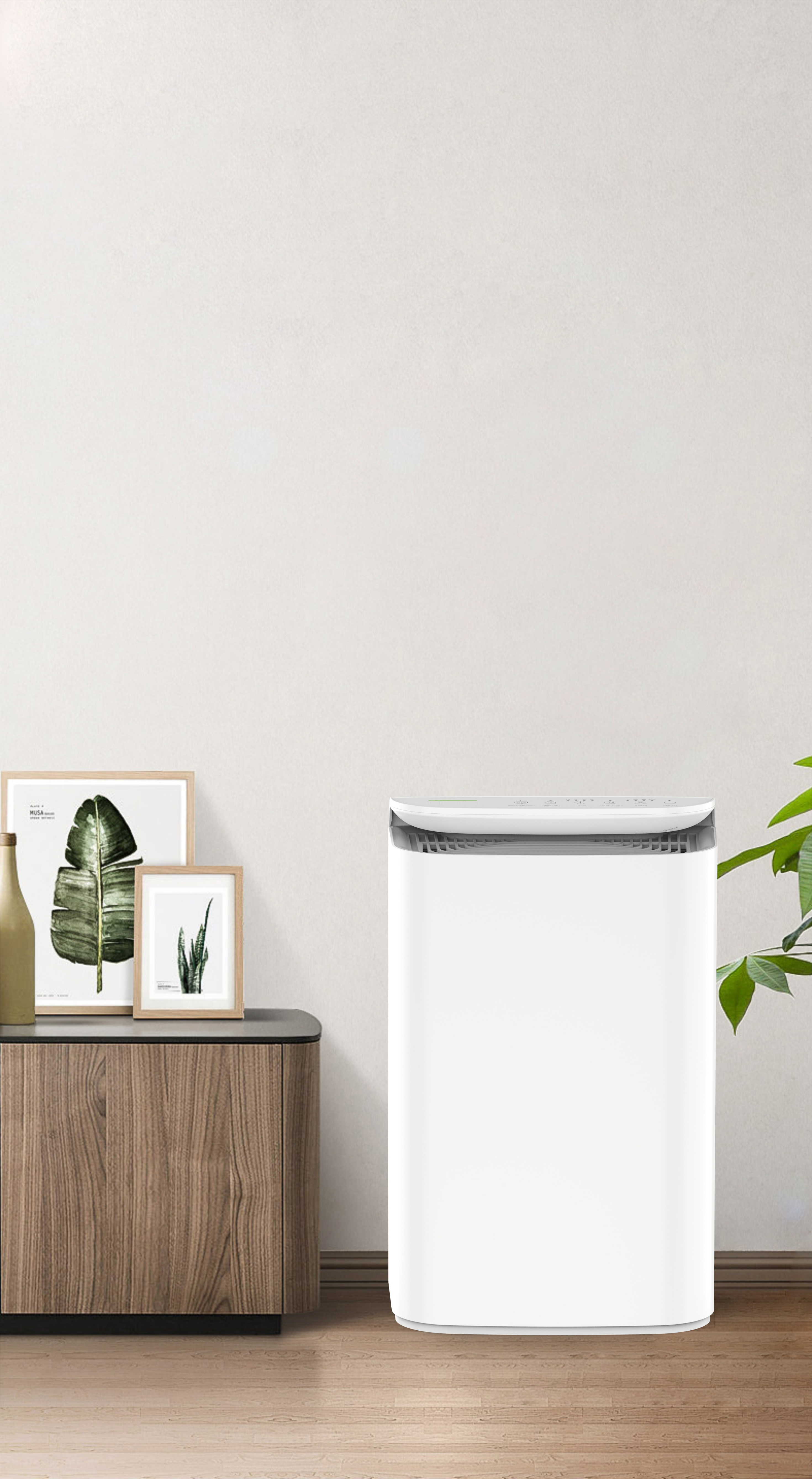 Frissítse az anion technológiát az erdő friss lélegzete BKJ-16B