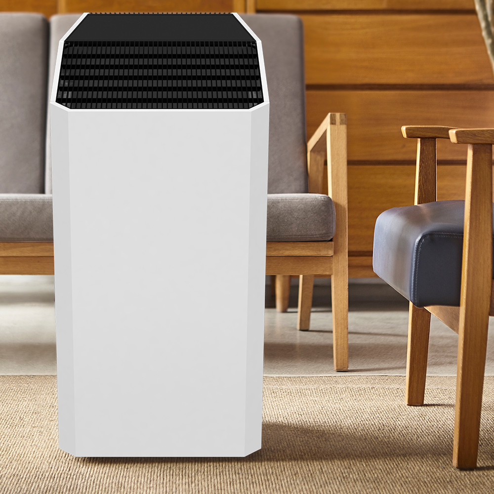 Távolítsa el a formaldehidet a legjobban, élvezze a friss levegőt a legtöbb BKJ-90C